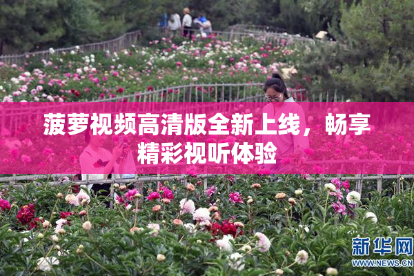 菠萝视频高清版全新上线，畅享精彩视听体验