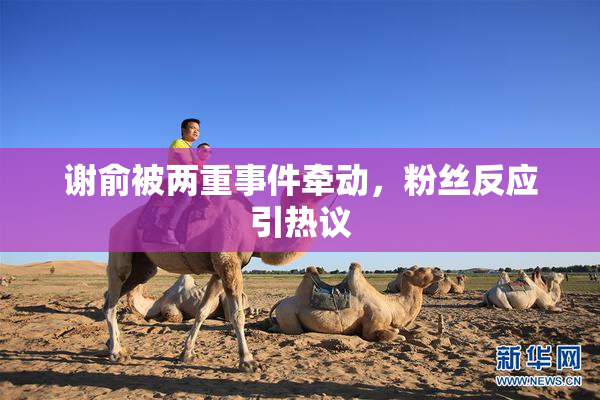 谢俞被两重事件牵动，粉丝反应引热议