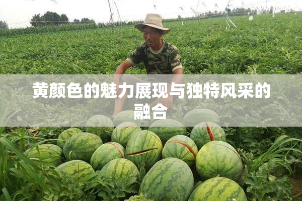 黄颜色的魅力展现与独特风采的融合