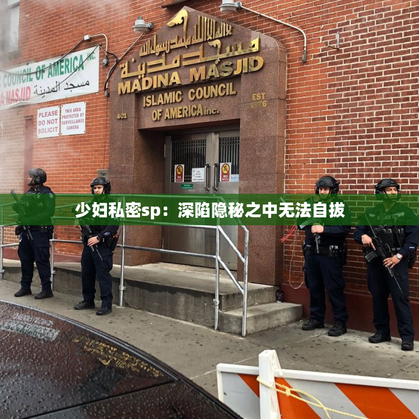 少妇私密sp：深陷隐秘之中无法自拔
