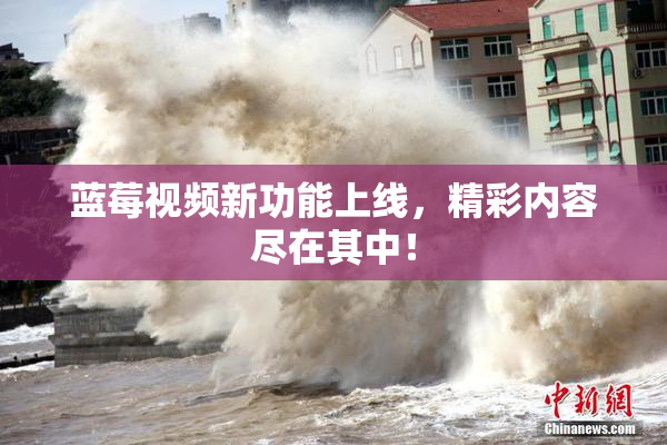蓝莓视频新功能上线，精彩内容尽在其中！