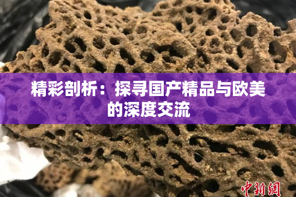精彩剖析：探寻国产精品与欧美的深度交流