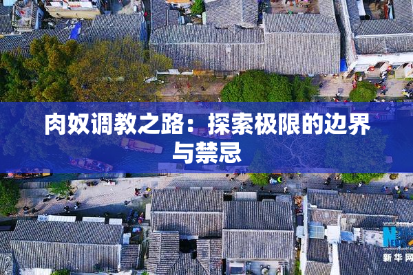 肉奴调教之路：探索极限的边界与禁忌
