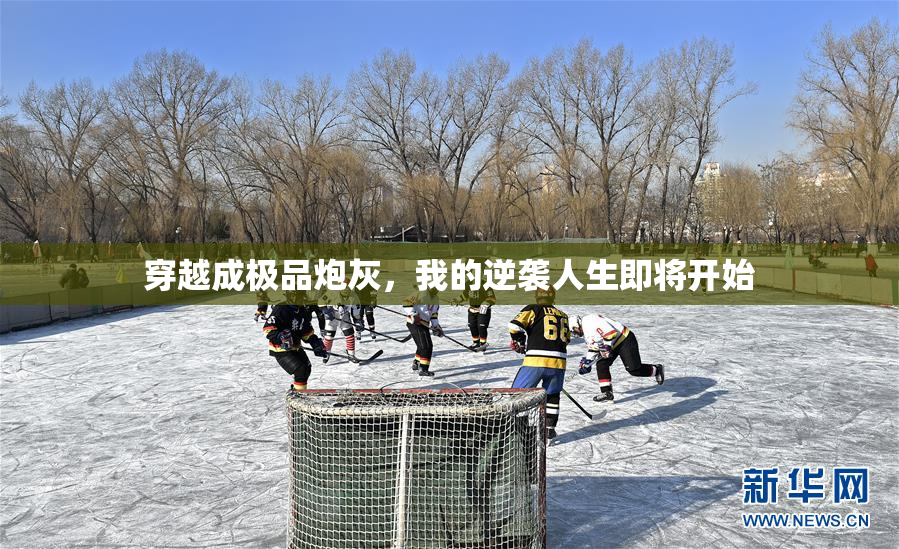 穿越成极品炮灰，我的逆袭人生即将开始