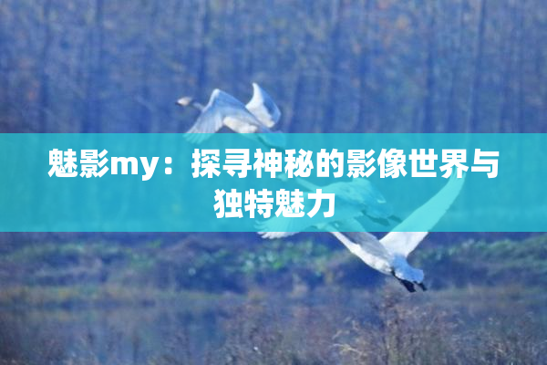 魅影my：探寻神秘的影像世界与独特魅力