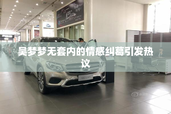 吴梦梦无套内的情感纠葛引发热议