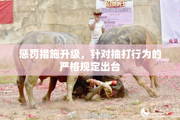 惩罚措施升级，针对抽打行为的严格规定出台