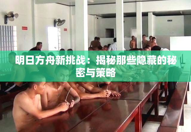 明日方舟新挑战：揭秘那些隐藏的秘密与策略