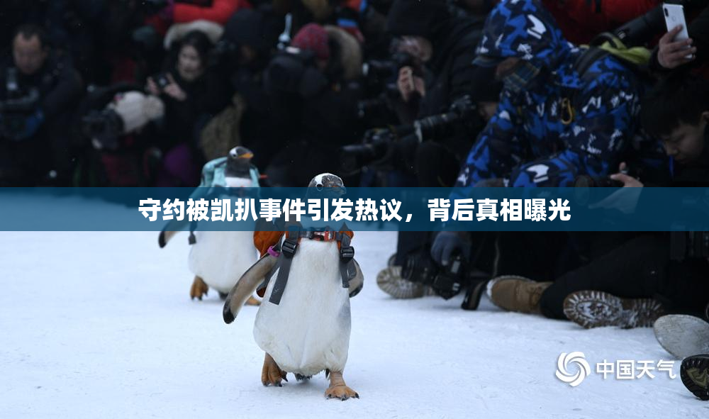 守约被凯扒事件引发热议，背后真相曝光