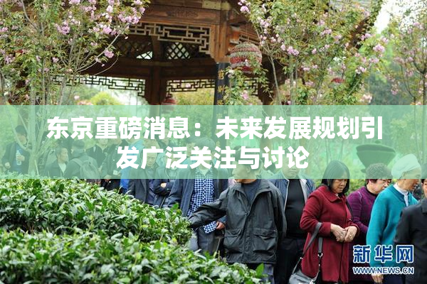 东京重磅消息：未来发展规划引发广泛关注与讨论