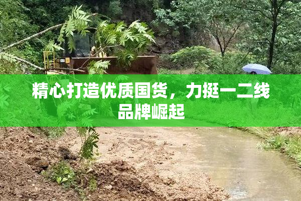 精心打造优质国货，力挺一二线品牌崛起