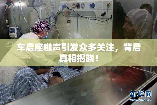 车后座啪声引发众多关注，背后真相揭晓！