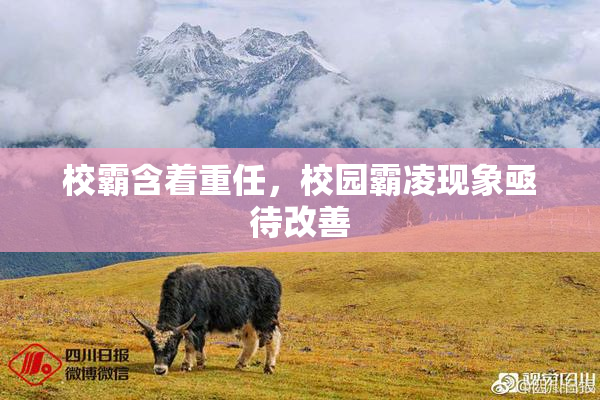 校霸含着重任，校园霸凌现象亟待改善
