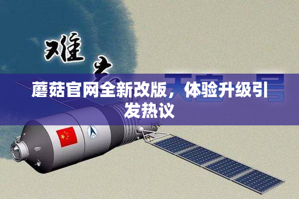 蘑菇官网全新改版，体验升级引发热议