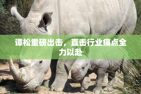谭松重磅出击，直击行业痛点全力以赴