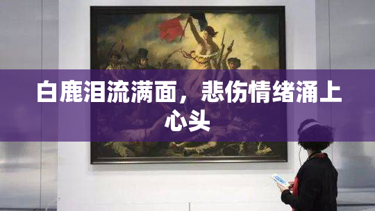 白鹿泪流满面，悲伤情绪涌上心头