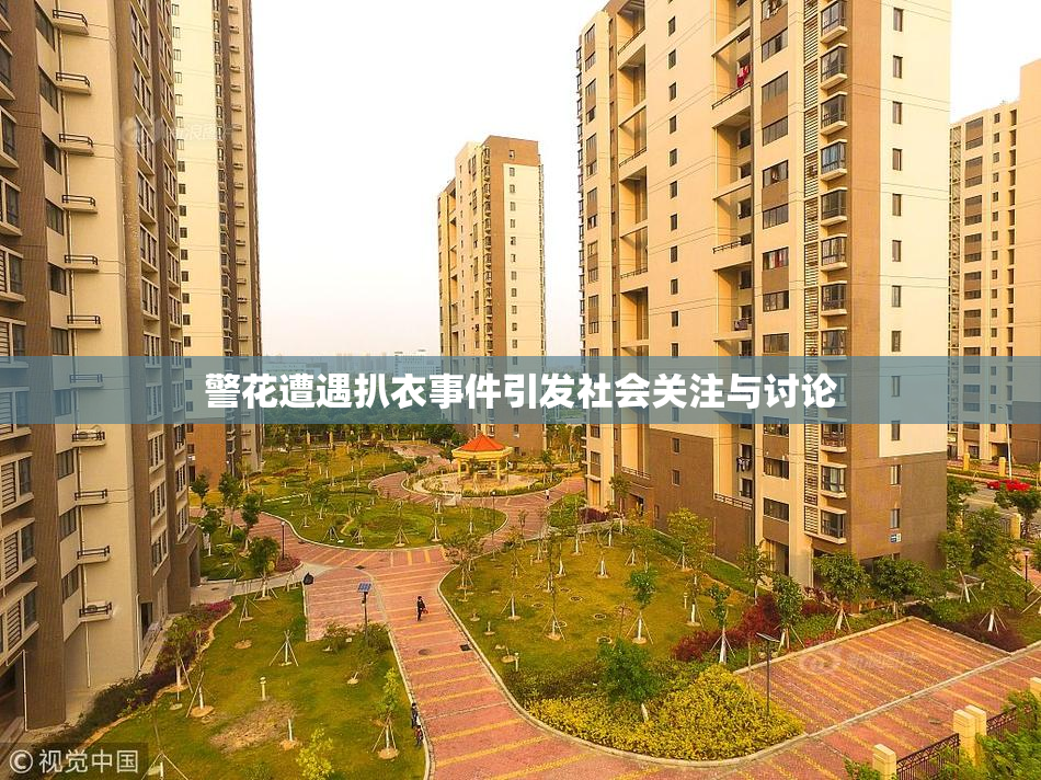 警花遭遇扒衣事件引发社会关注与讨论