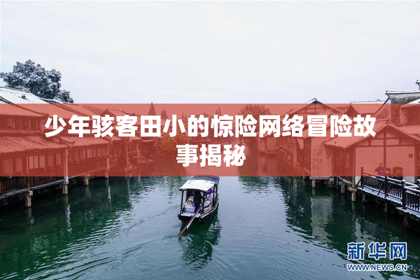 少年骇客田小的惊险网络冒险故事揭秘