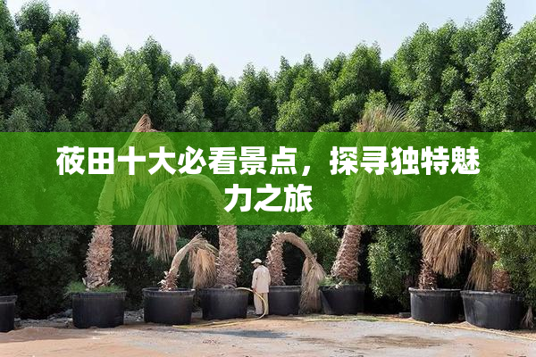 莜田十大必看景点，探寻独特魅力之旅