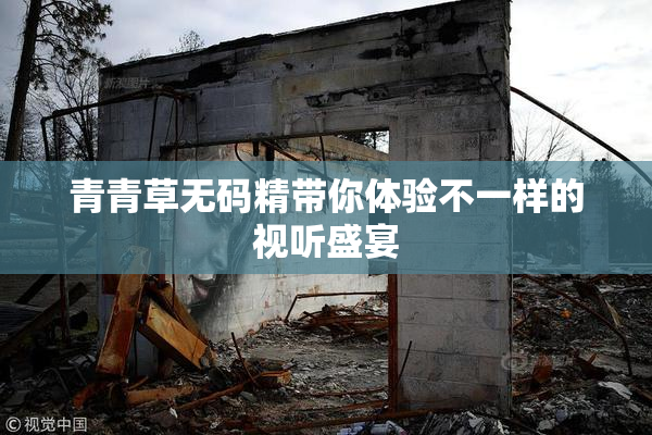 青青草无码精带你体验不一样的视听盛宴