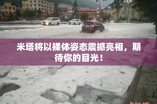 米塔将以裸体姿态震撼亮相，期待你的目光！
