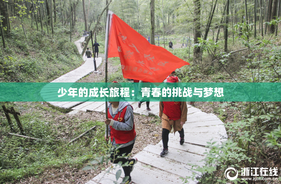 少年的成长旅程：青春的挑战与梦想