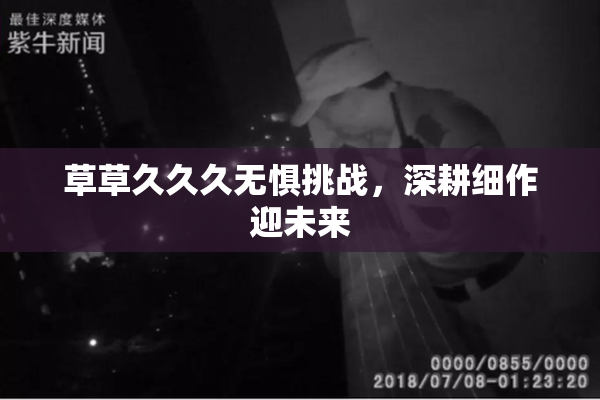 草草久久久无惧挑战，深耕细作迎未来