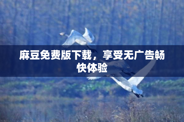 麻豆免费版下载，享受无广告畅快体验