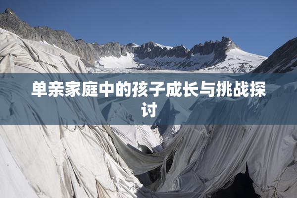 单亲家庭中的孩子成长与挑战探讨