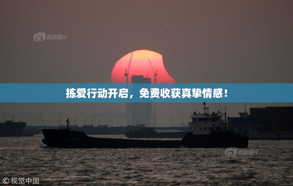 拣爱行动开启，免费收获真挚情感！