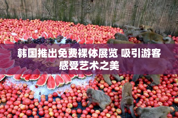 韩国推出免费裸体展览 吸引游客感受艺术之美