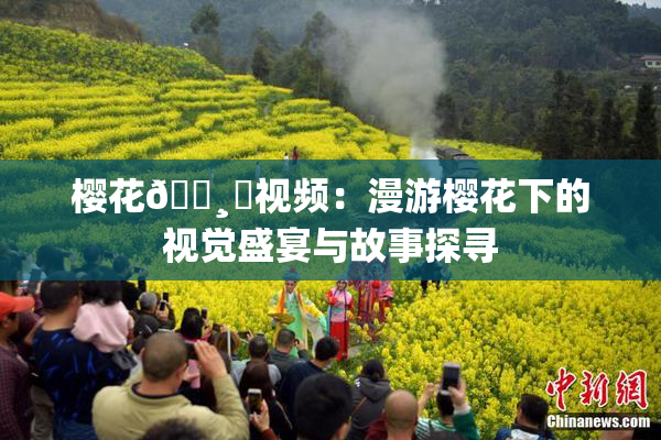 樱花🌸‌视频：漫游樱花下的视觉盛宴与故事探寻