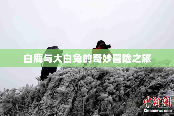 白鹿与大白兔的奇妙冒险之旅