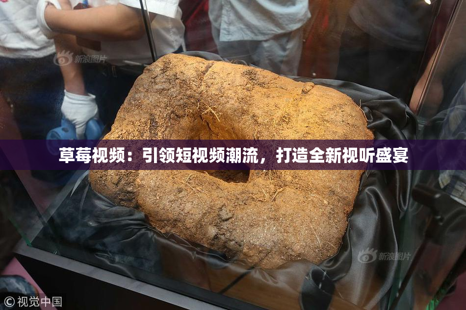草莓视频：引领短视频潮流，打造全新视听盛宴