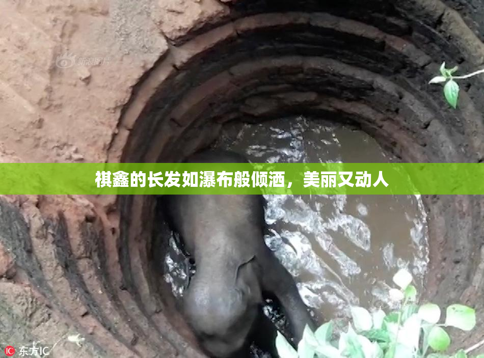 祺鑫的长发如瀑布般倾洒，美丽又动人