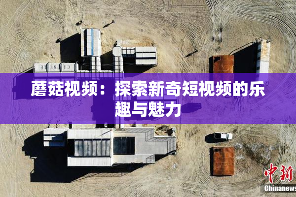 蘑菇视频：探索新奇短视频的乐趣与魅力