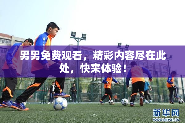 男男免费观看，精彩内容尽在此处，快来体验！