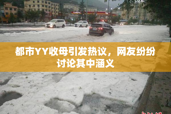 都市YY收母引发热议，网友纷纷讨论其中涵义