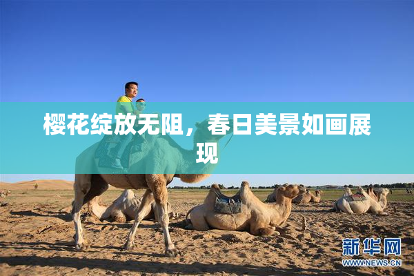 樱花绽放无阻，春日美景如画展现