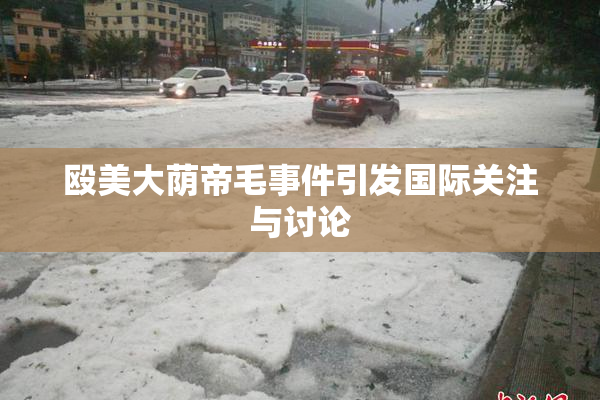 殴美大荫帝毛事件引发国际关注与讨论