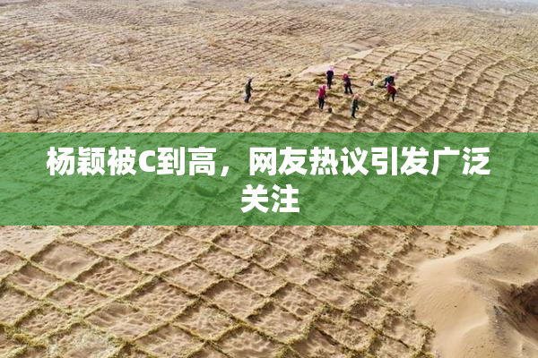 杨颖被C到高，网友热议引发广泛关注