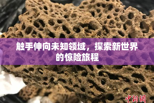 触手伸向未知领域，探索新世界的惊险旅程