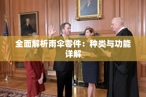 全面解析雨伞零件：种类与功能详解