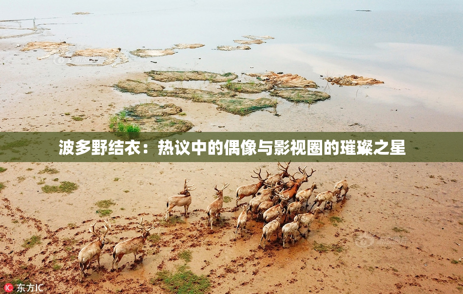 波多野结衣：热议中的偶像与影视圈的璀璨之星