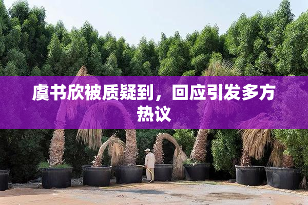 虞书欣被质疑到，回应引发多方热议