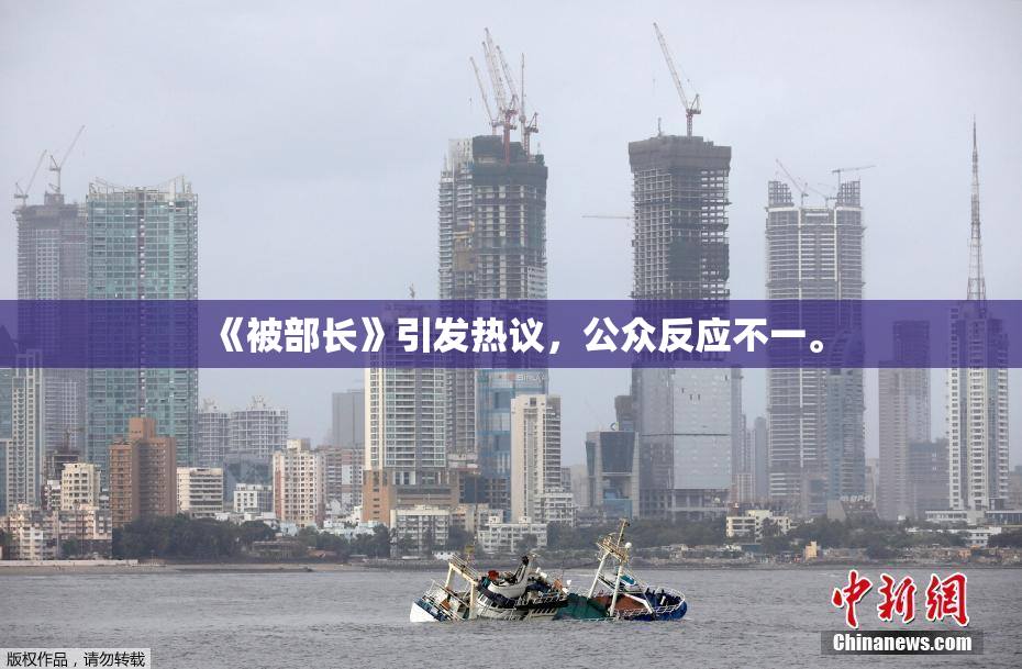 《被部长》引发热议，公众反应不一。