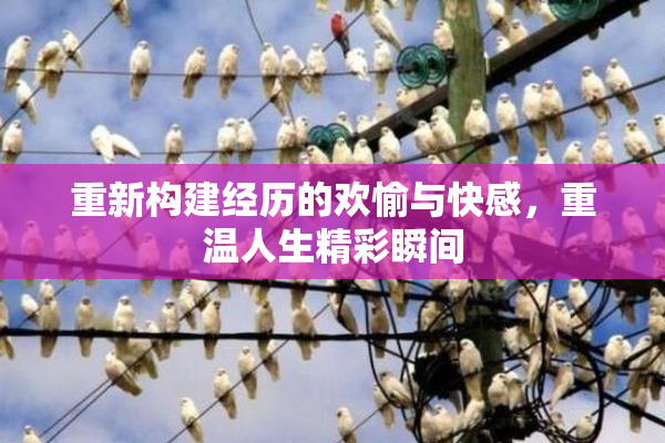 重新构建经历的欢愉与快感，重温人生精彩瞬间