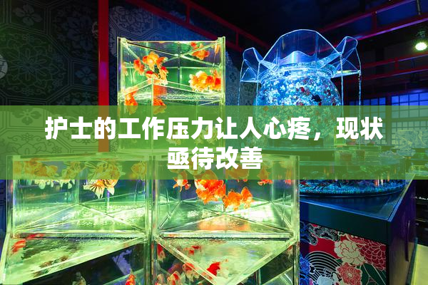 护士的工作压力让人心疼，现状亟待改善