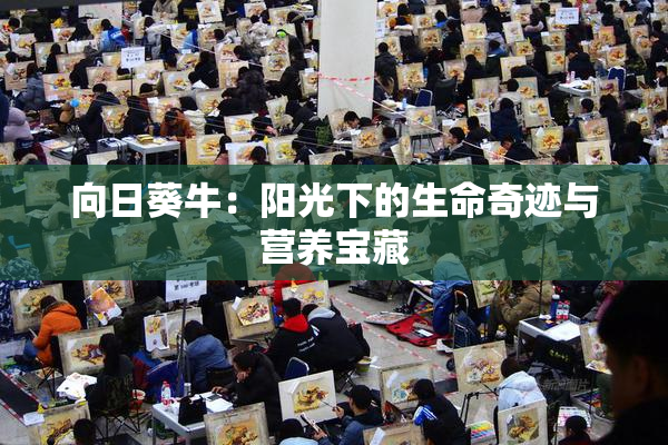 向日葵牛：阳光下的生命奇迹与营养宝藏