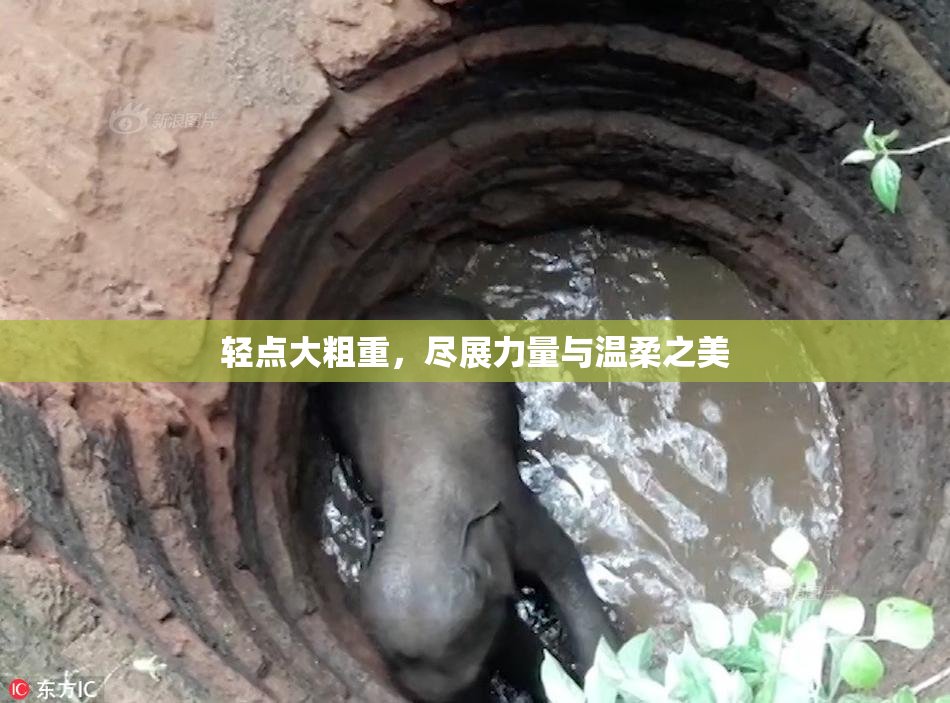 轻点大粗重，尽展力量与温柔之美